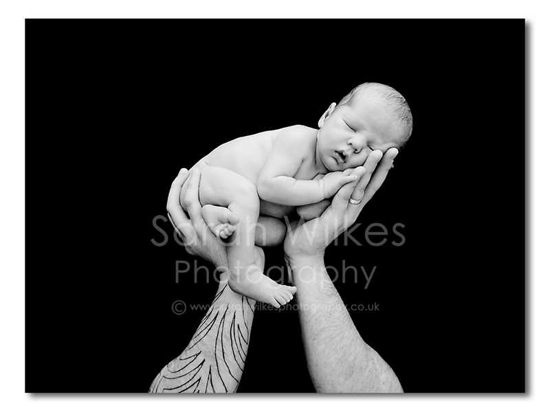 Bingham Baby portrait photographer Newborn in hands pose bumps and babies