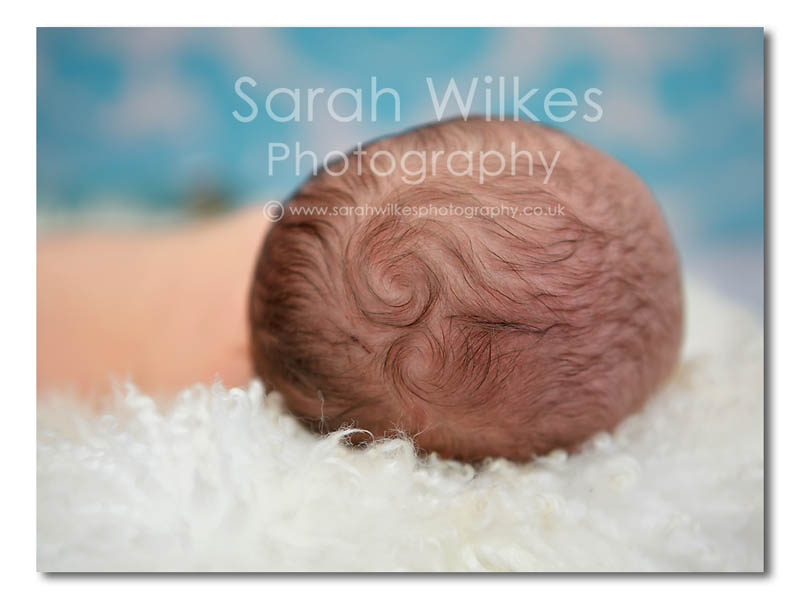 Newborn Photographer Nottingham