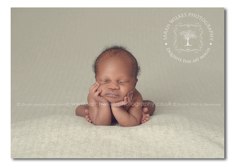 Baby Photographer