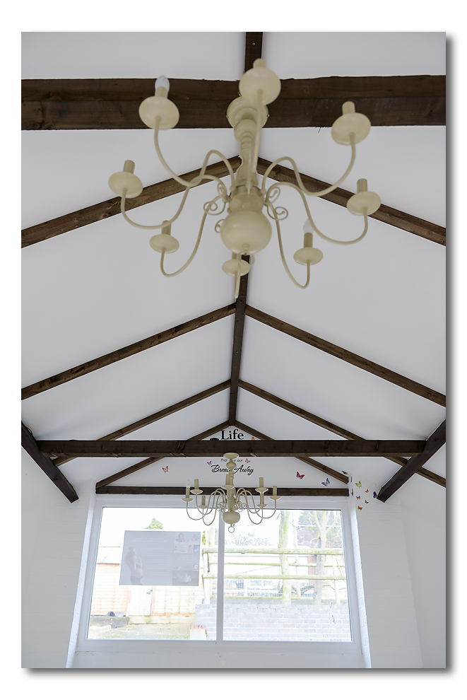 Shooting room Chandeliers II
