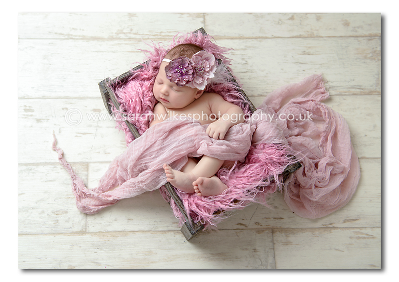 Newborn baby Photography