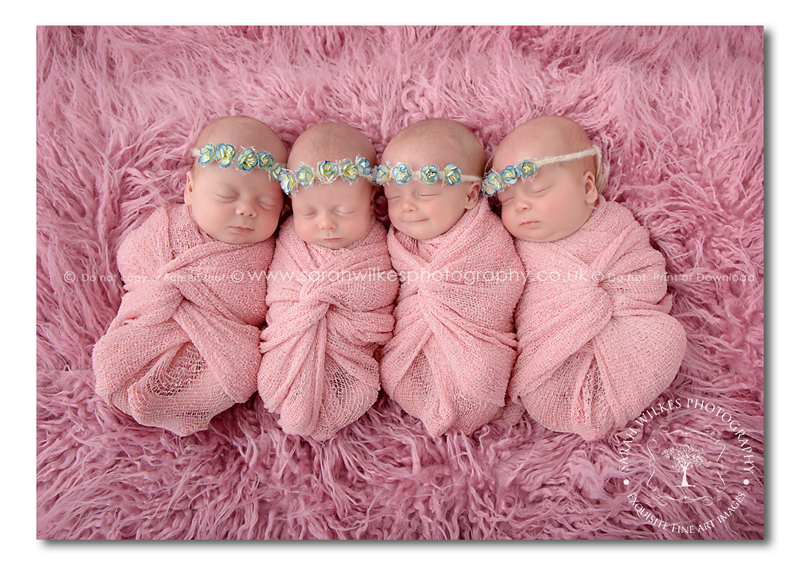 Newborn Quad Photoshoot