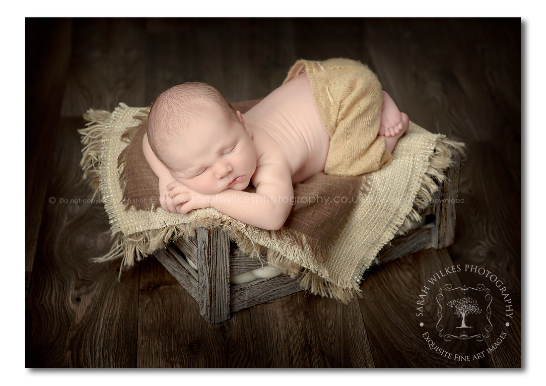 Newborn Photo shoot