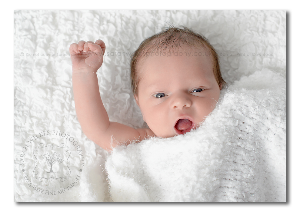 Newborn baby poses